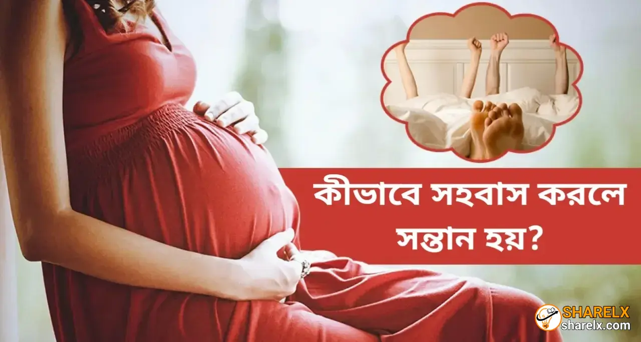 কীভাবে সহবাস করলে সন্তান হয়? গর্ভধারণের সঠিক সময় ও নিয়ম